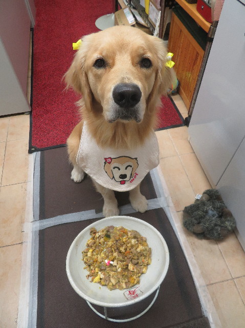 ファイル 7352-1.jpg