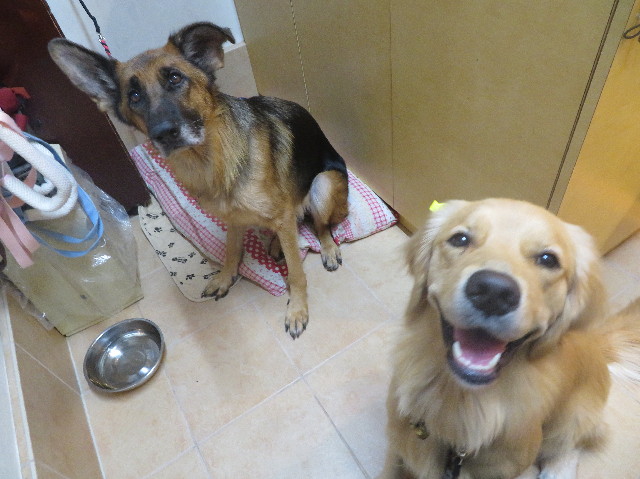 ファイル 7353-2.jpg