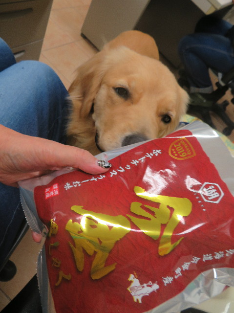 ファイル 7353-5.jpg