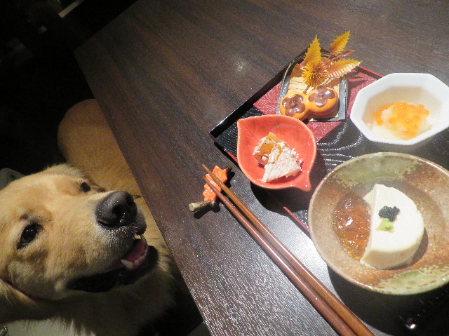 ファイル 7355-1.jpg