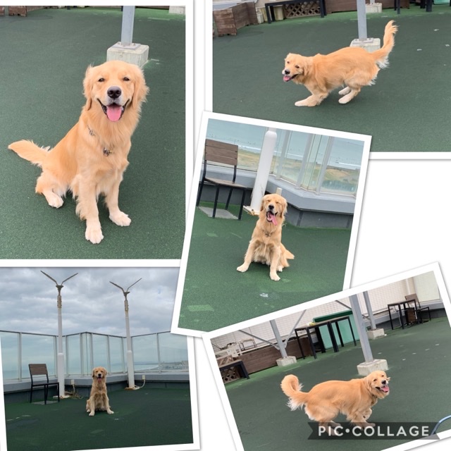 ファイル 7357-1.jpg