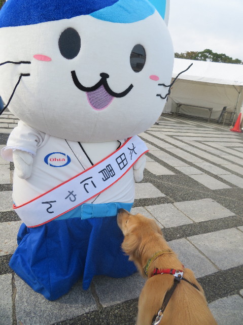 ファイル 7359-5.jpg