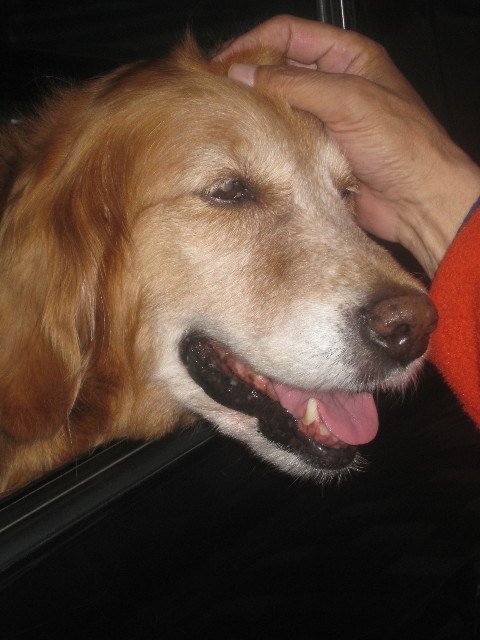 ファイル 736-2.jpg