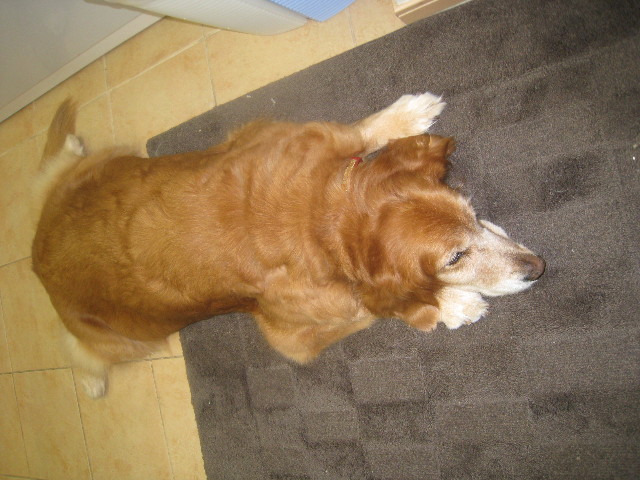 ファイル 736-4.jpg