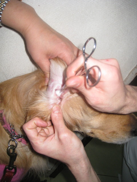 ファイル 736-5.jpg