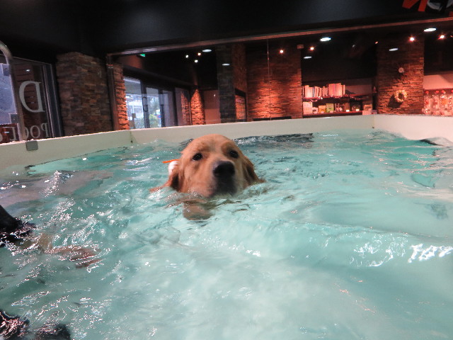 ファイル 7365-2.jpg