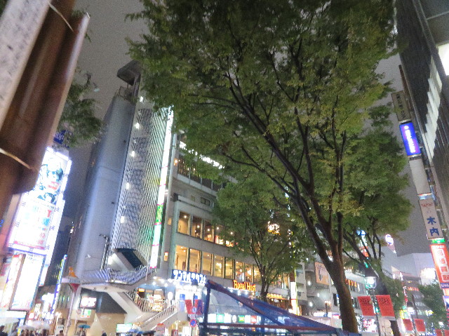 ファイル 7368-2.jpg