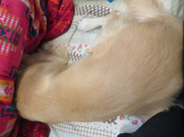 ファイル 7368-5.jpg