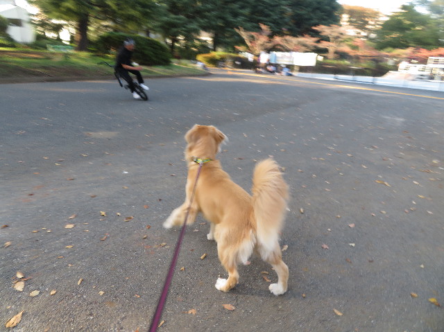 ファイル 7370-2.jpg