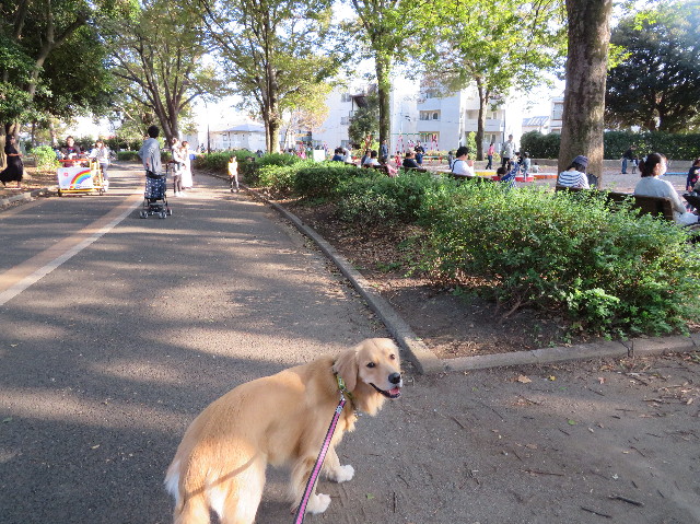 ファイル 7371-1.jpg