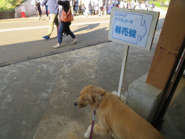 ファイル 7371-2.jpg