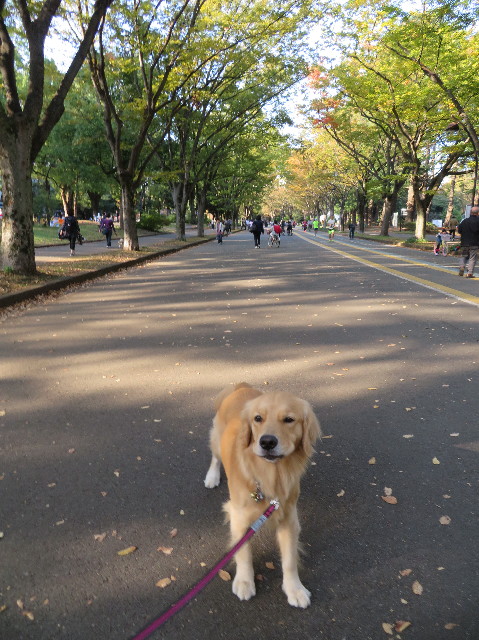 ファイル 7371-3.jpg