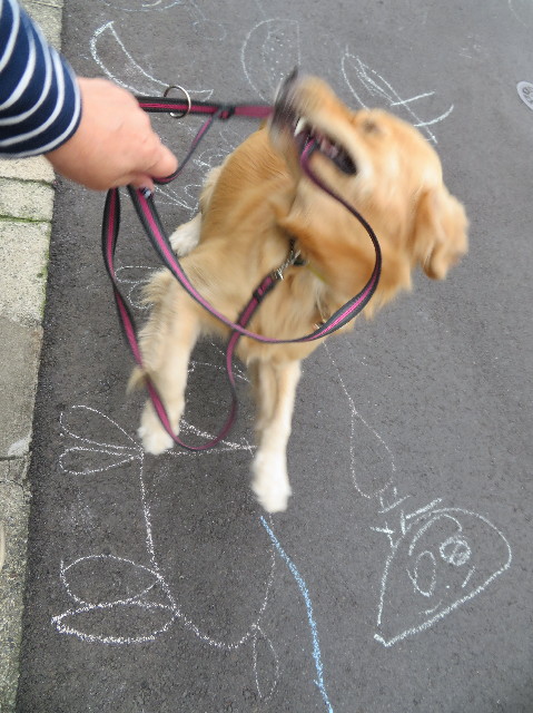 ファイル 7372-1.jpg