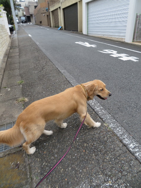 ファイル 7372-2.jpg