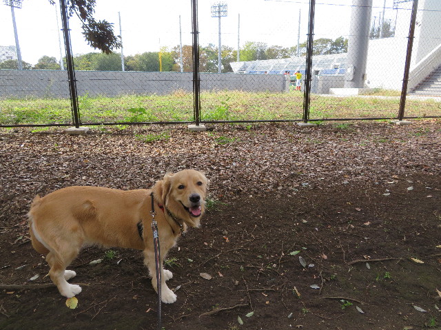 ファイル 7376-1.jpg