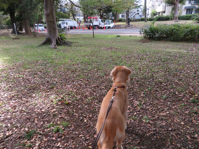 ファイル 7376-2.jpg