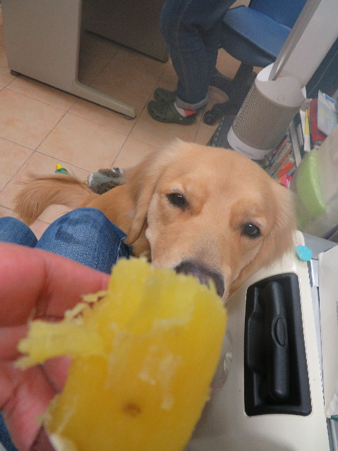 ファイル 7377-4.jpg