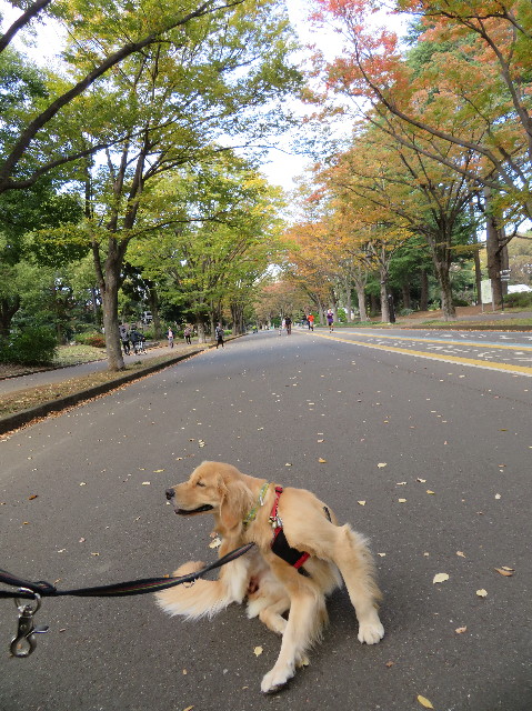 ファイル 7378-1.jpg