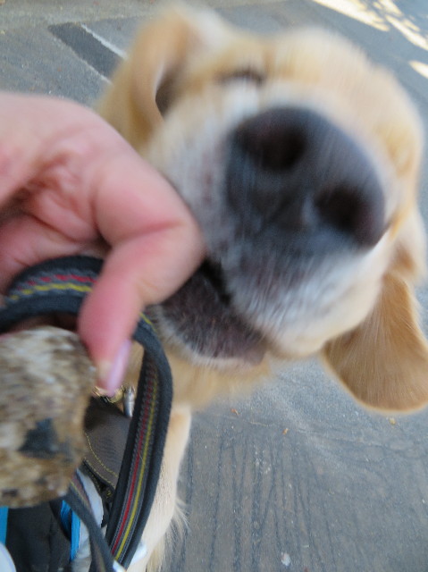 ファイル 7379-3.jpg