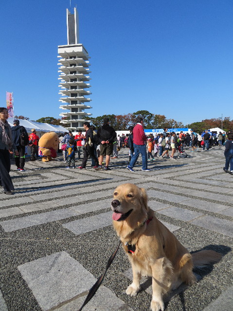 ファイル 7380-2.jpg