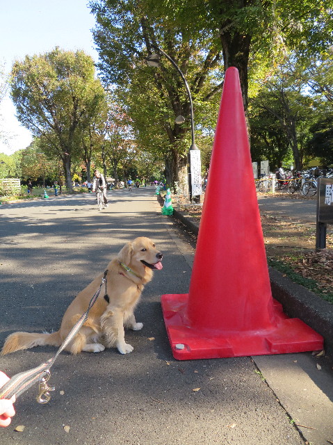 ファイル 7380-5.jpg