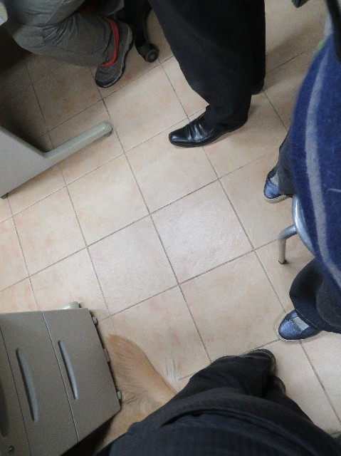 ファイル 7382-2.jpg