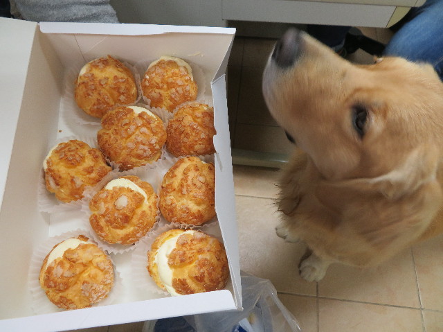 ファイル 7383-4.jpg