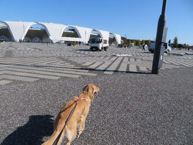 ファイル 7386-2.jpg