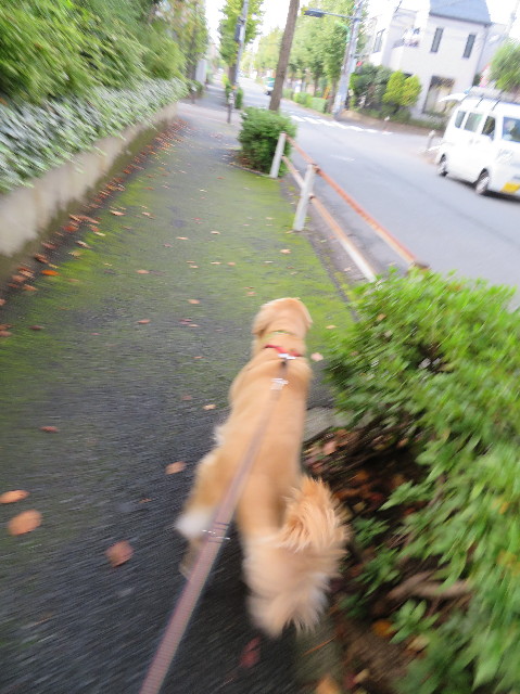 ファイル 7387-4.jpg