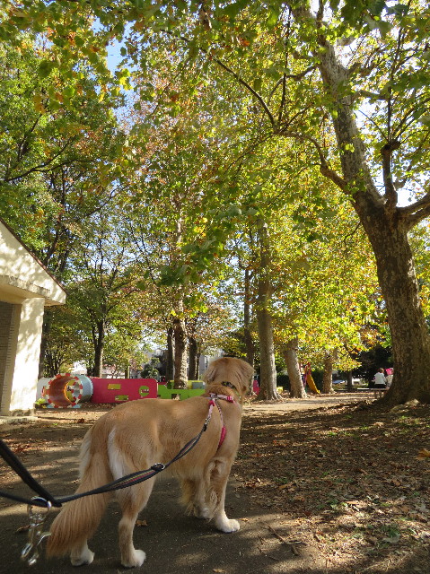 ファイル 7388-4.jpg