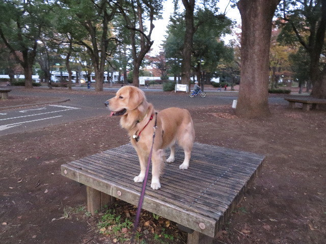 ファイル 7391-5.jpg