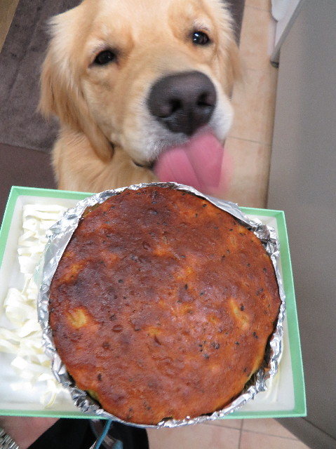 ファイル 7393-2.jpg