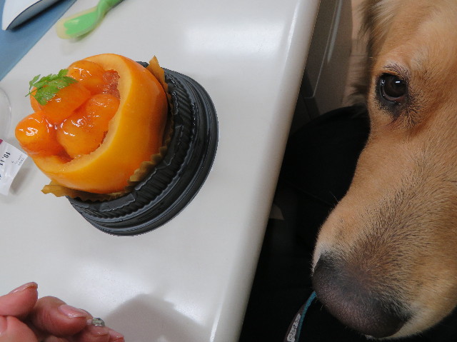 ファイル 7395-1.jpg