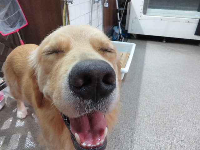 ファイル 7396-1.jpg