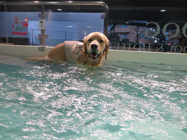 ファイル 7396-2.jpg