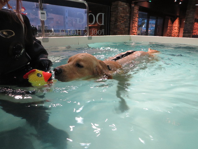 ファイル 7396-3.jpg