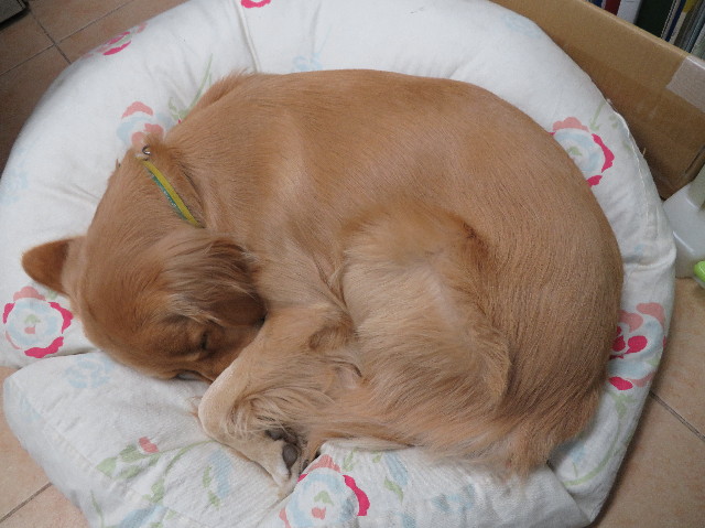 ファイル 7398-5.jpg