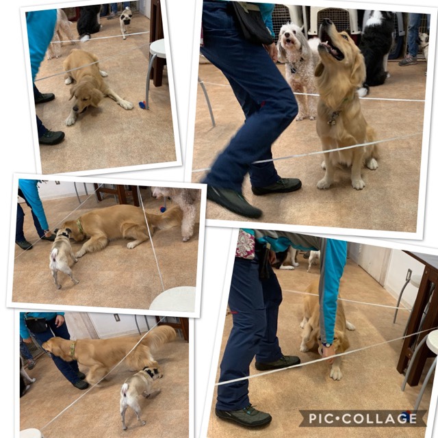 ファイル 7399-1.jpg