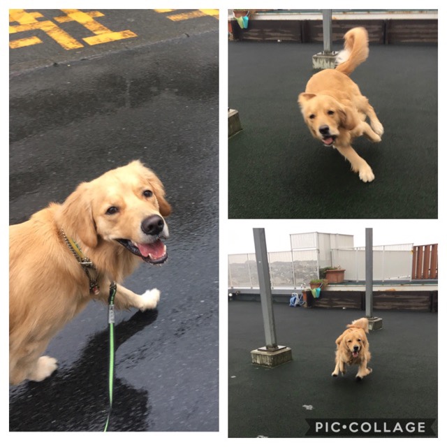 ファイル 7399-3.jpg