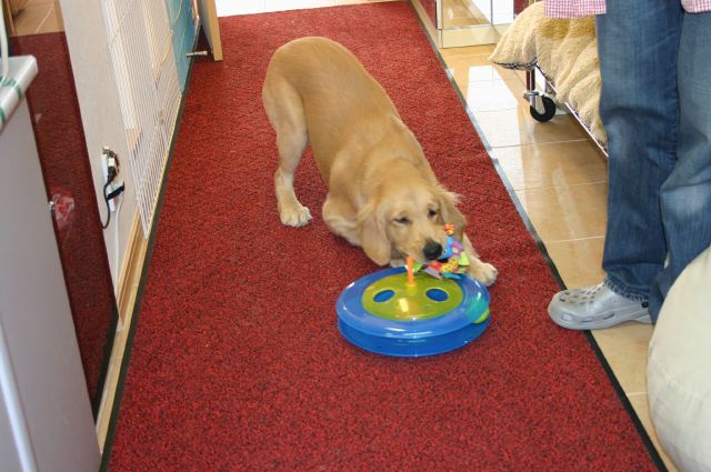 ファイル 74-1.jpg