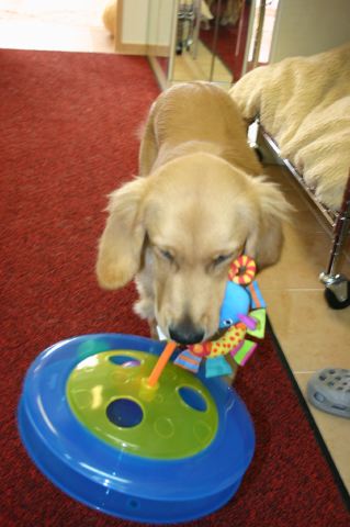 ファイル 74-2.jpg