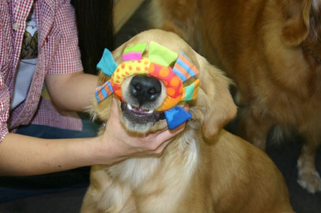 ファイル 74-3.jpg