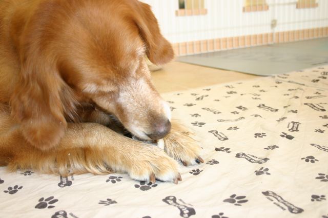 ファイル 74-5.jpg