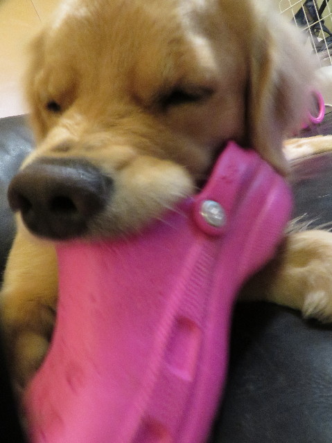 ファイル 7400-1.jpg