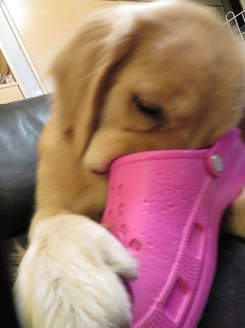 ファイル 7400-2.jpg