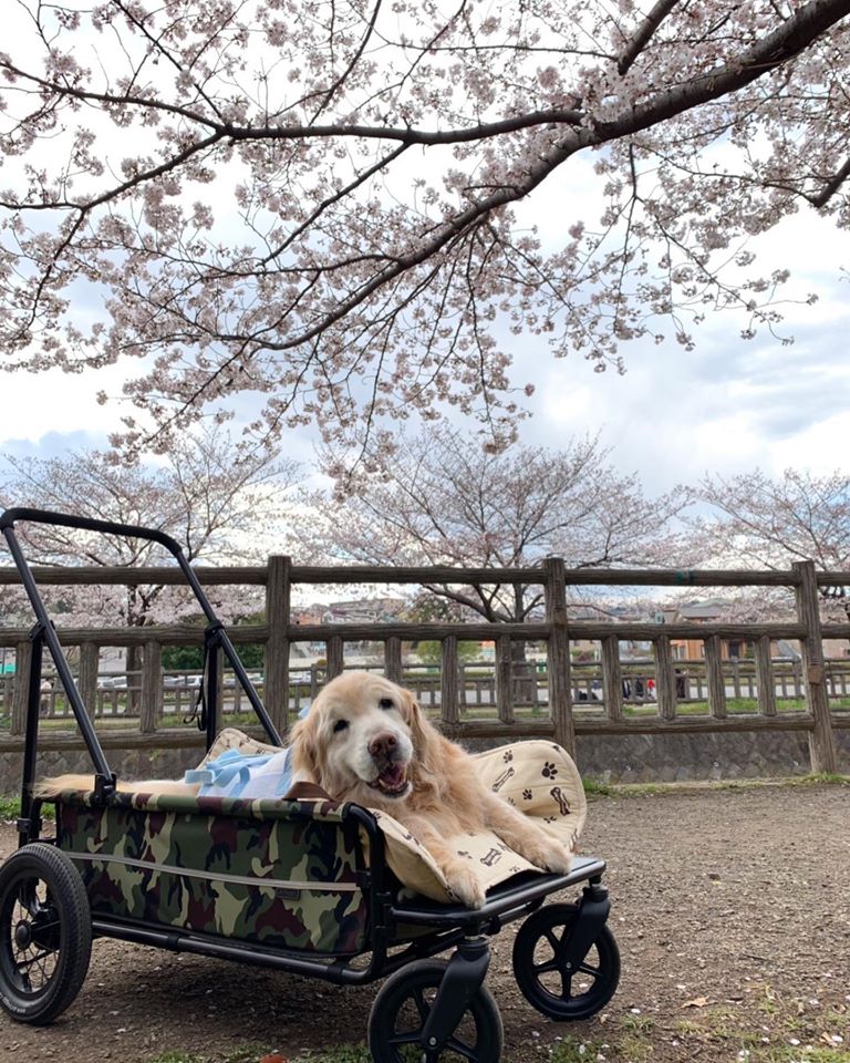 ファイル 7401-1.jpg