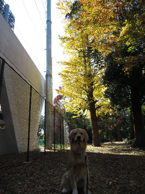 ファイル 7402-1.jpg