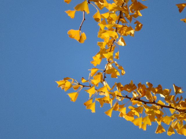 ファイル 7402-4.jpg