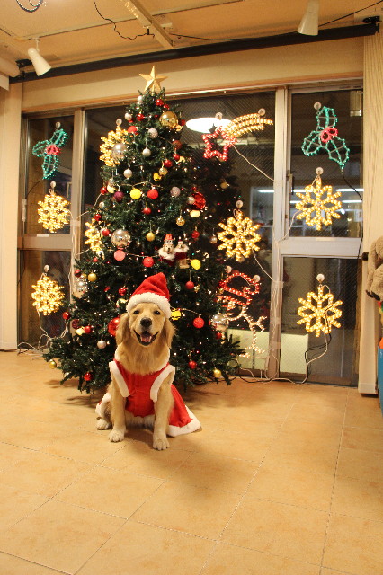 ファイル 7403-3.jpg