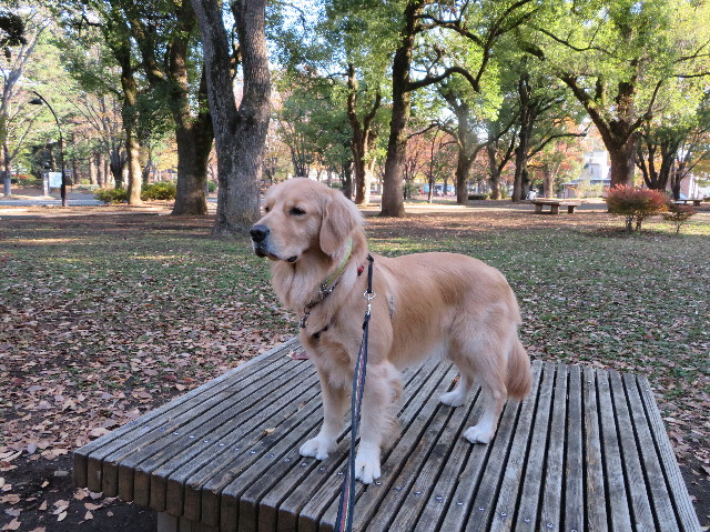 ファイル 7406-3.jpg